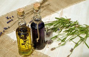 Rekomendacje dotyczące stosowania olejków CBD od producenta Max Hemp